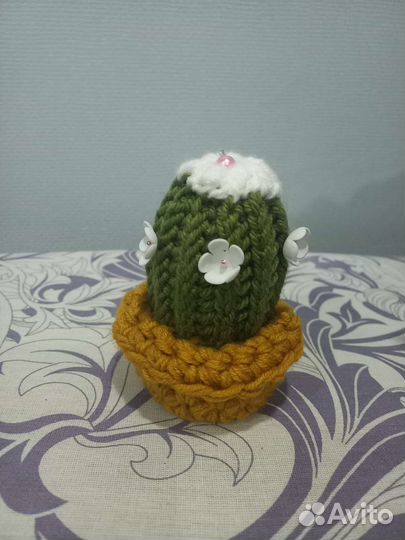 Вязаные кактусы