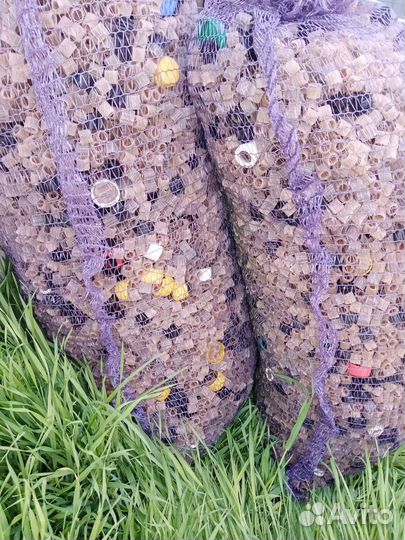 Биозогрука