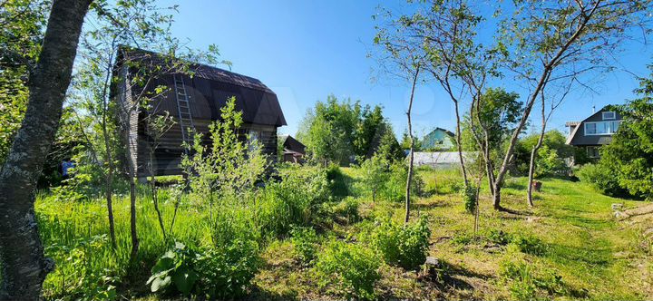 Участок 5,9 сот. (СНТ, ДНП)