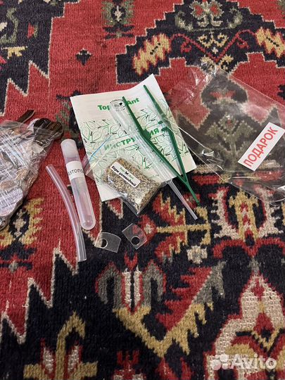 Муравьиная ферма