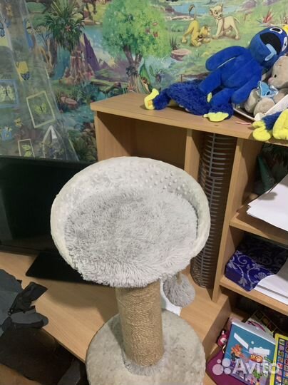 Когтеточка для кошек