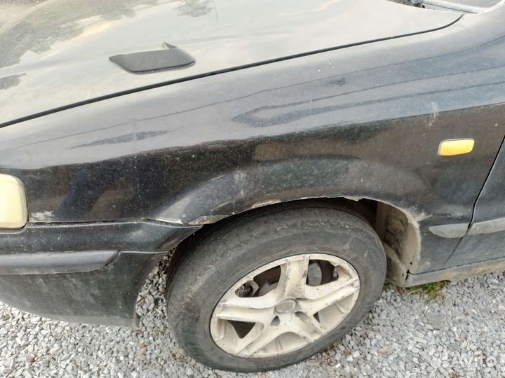 Крылья саманд