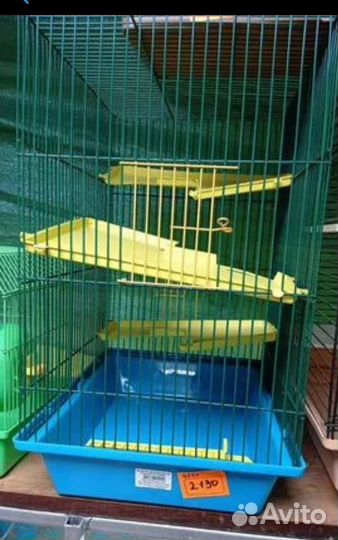 Продам хомячков