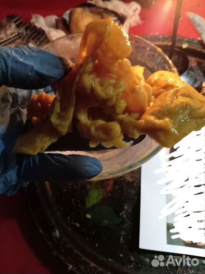 Гадание обряды предсказания обучение