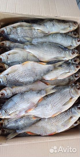 Астраханский вяленый лещ