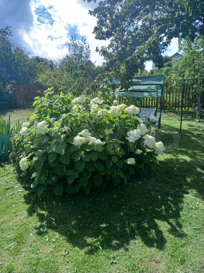 Дача 30 м² на участке 6 сот.