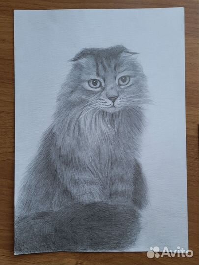 Портреты и рисунки на заказ