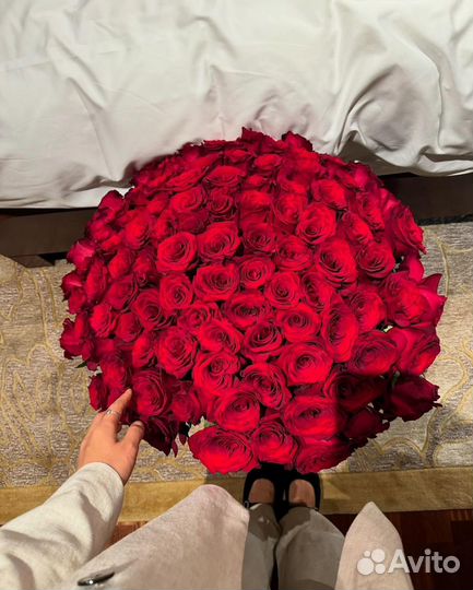 101 роза/ розы с доставкой