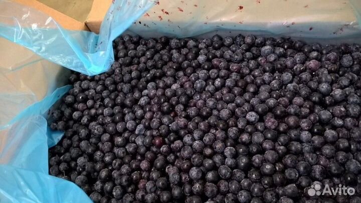 Облепиха. Клюква. Брусника. Смородина. Морсы