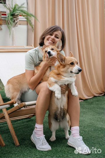 Фотосессия в кемпере с корги все включено