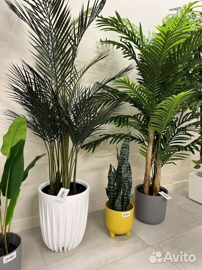 Искусственные растения пальмы новые