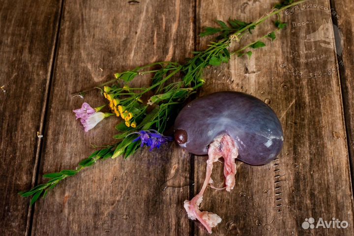 Мясо для собак