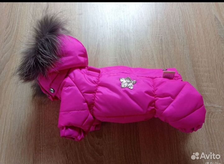 Одежда для собак