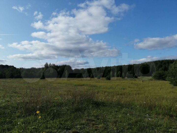 Участок 60 сот. (ИЖС)