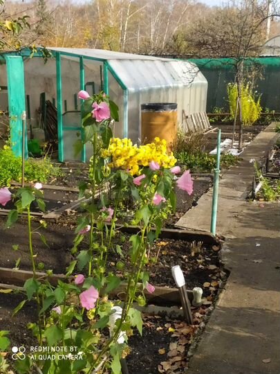 Дом 10 м² на участке 4 сот.