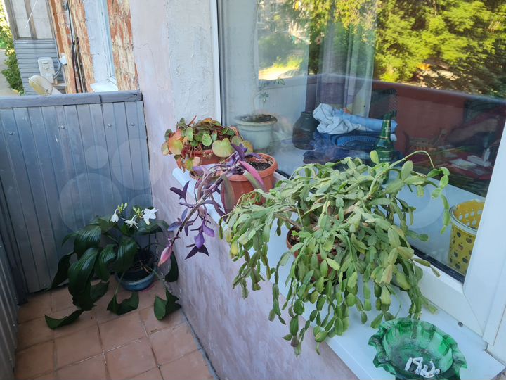 2-к. квартира, 42 м², 2/4 эт.