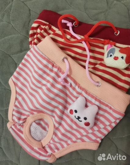 Одежда для собак