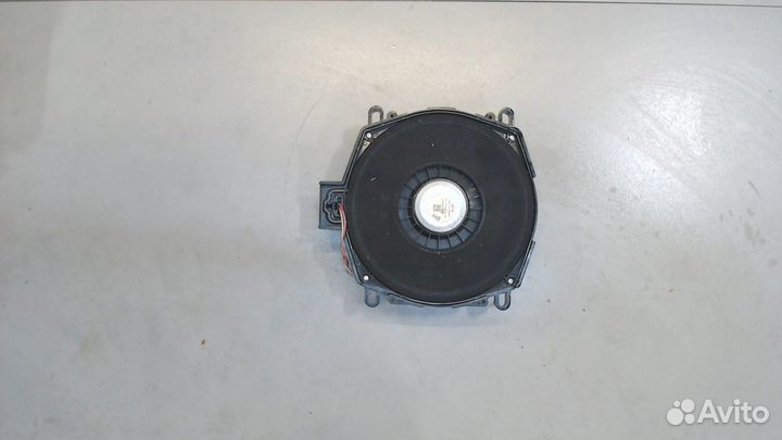 Динамик BMW X5 E70, 2009