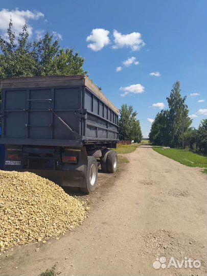 Прицеп самосвальный ГКБ 8527, 1990