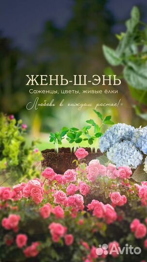 Продавец консультант цветы саженцы