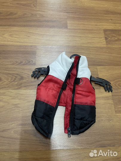 Одежда для собак