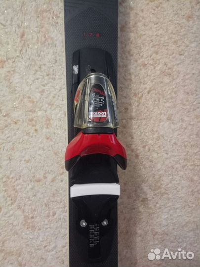 Горные лыжи