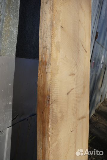 Кипарис слэб