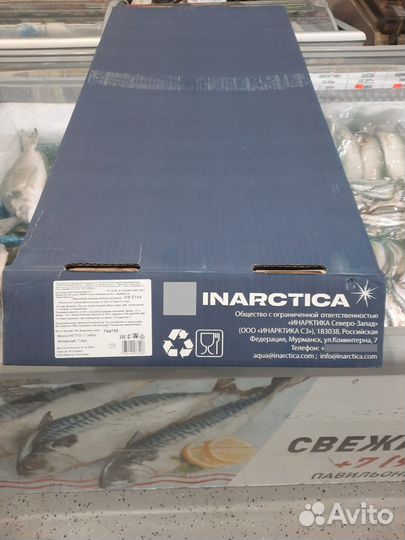 Филе семги атлантической