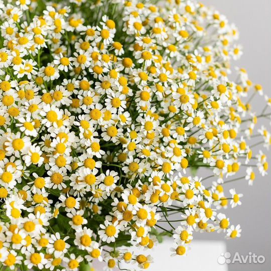 Бесплатная доставка цветов