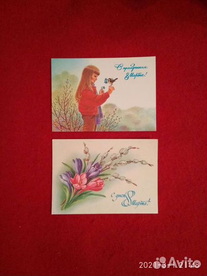 Открытка СССР Куртенко