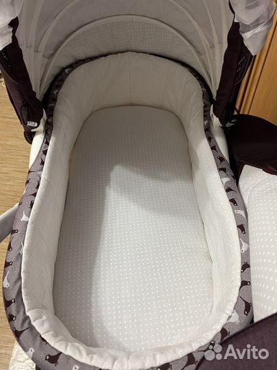 Коляска 2 в 1 adamex