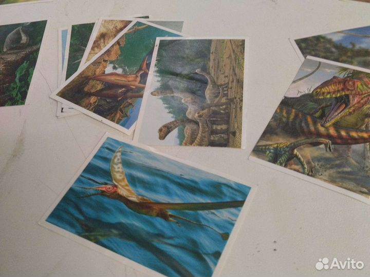 Наклейки: динозавры, стопка наклеек