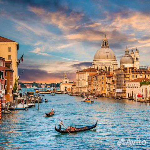 Шторы блэкаут