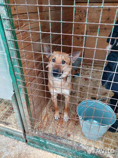 Ждёт вечность