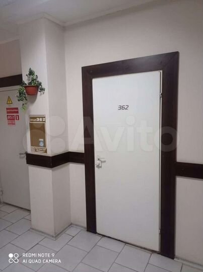 Свободного назначения, 48.5 м²