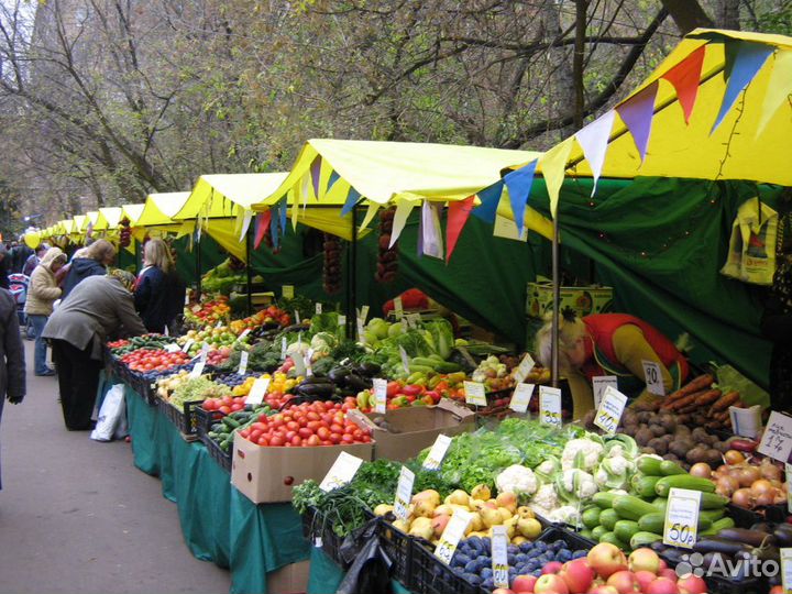 Организация Ярмарок выходного дня в цфо РФ