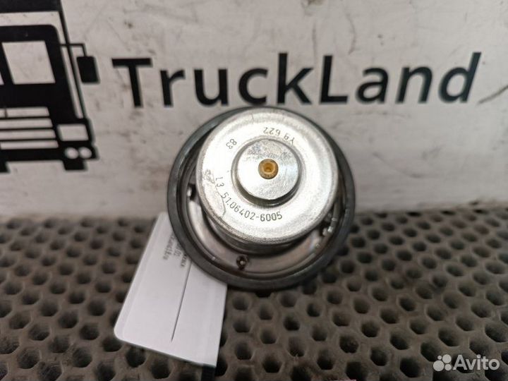 Термостат Man Tgx