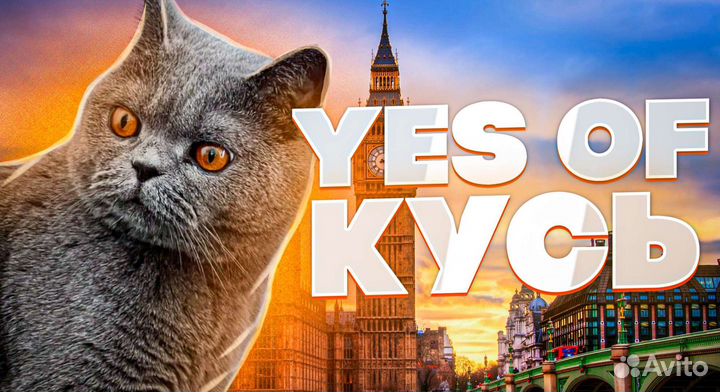 Качественное превью для Youtube