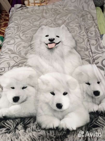 Фотошторы, шторы