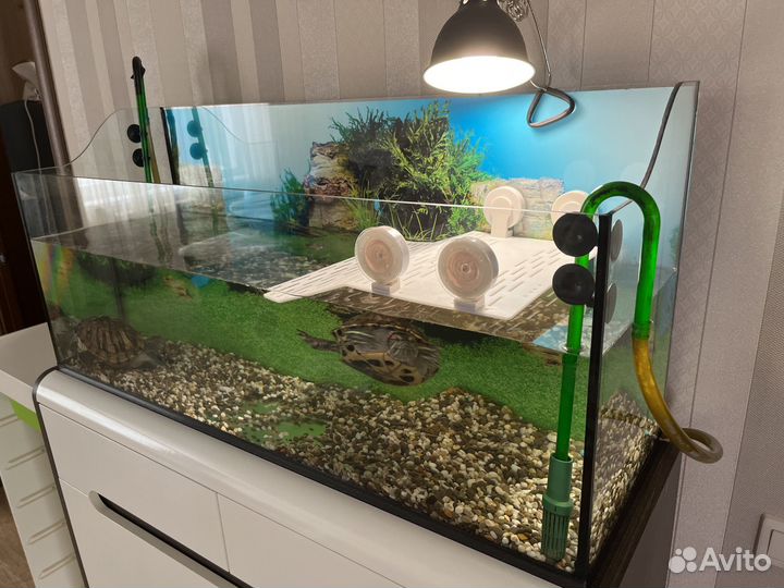 Террариум/аквариум для рептилий бу с черепахами