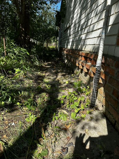 Дача 29,2 м² на участке 6 сот.