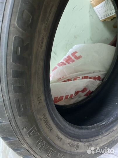 Gislaved NordFrost 100 205/55 R16