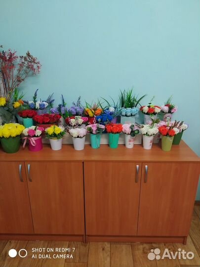 Флористика