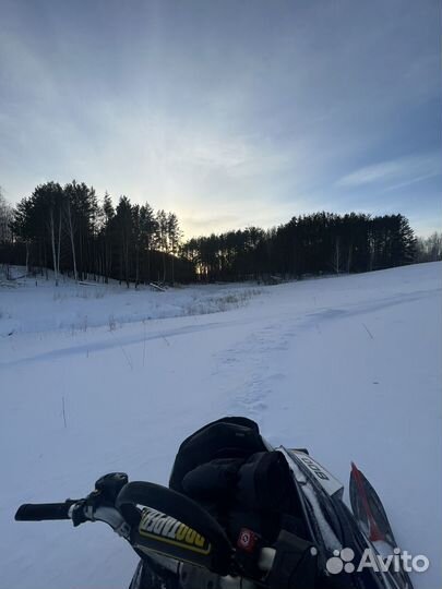 Polaris PRO RMK 800