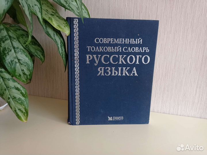 Современный толковый словарь русского языка 2004