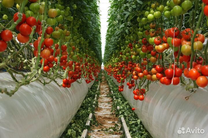 Слесарь-электромонтер