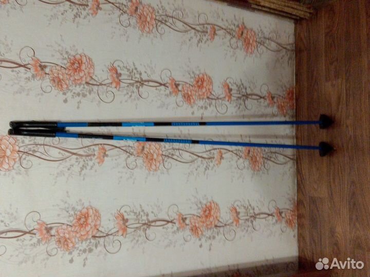 Лыжные палки