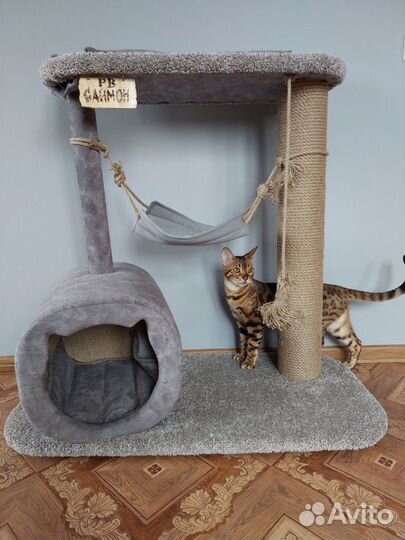 Домик для кошки с когтеточкой