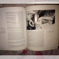 Титаник и Фотография: истории из жизни, советы, новости, юмор — Горячее, страница 4 | Пикабу