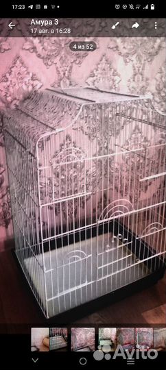 Попугай девочка с клеткой